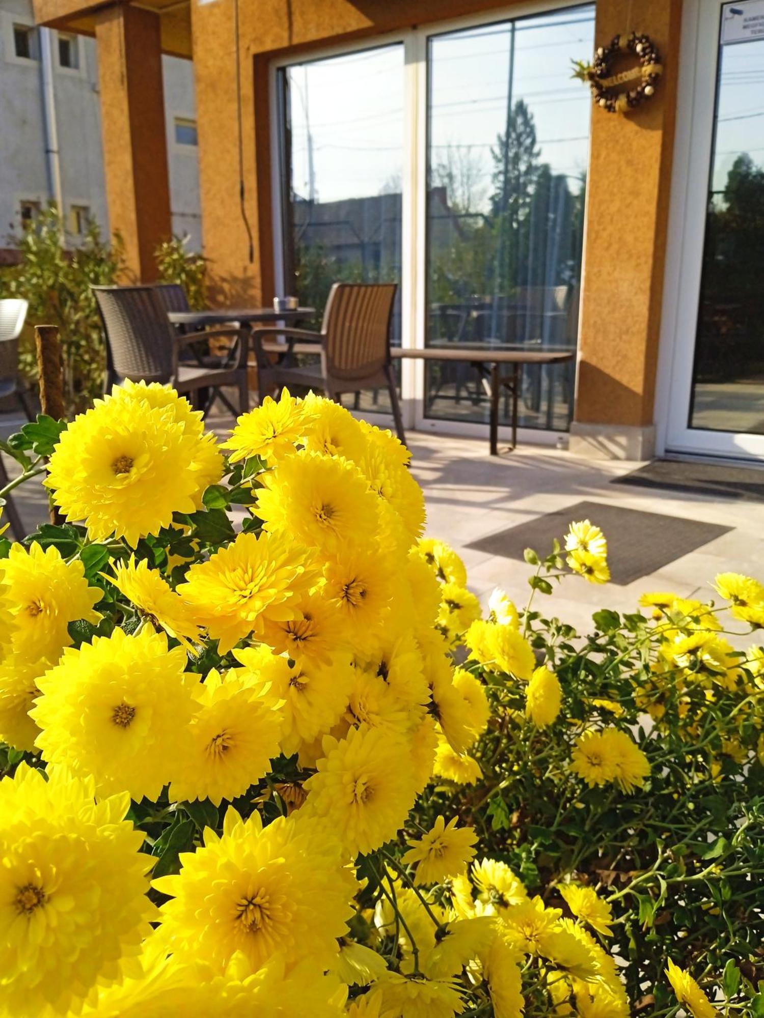 Alfred Panzio Bed and Breakfast Boedapest Buitenkant foto